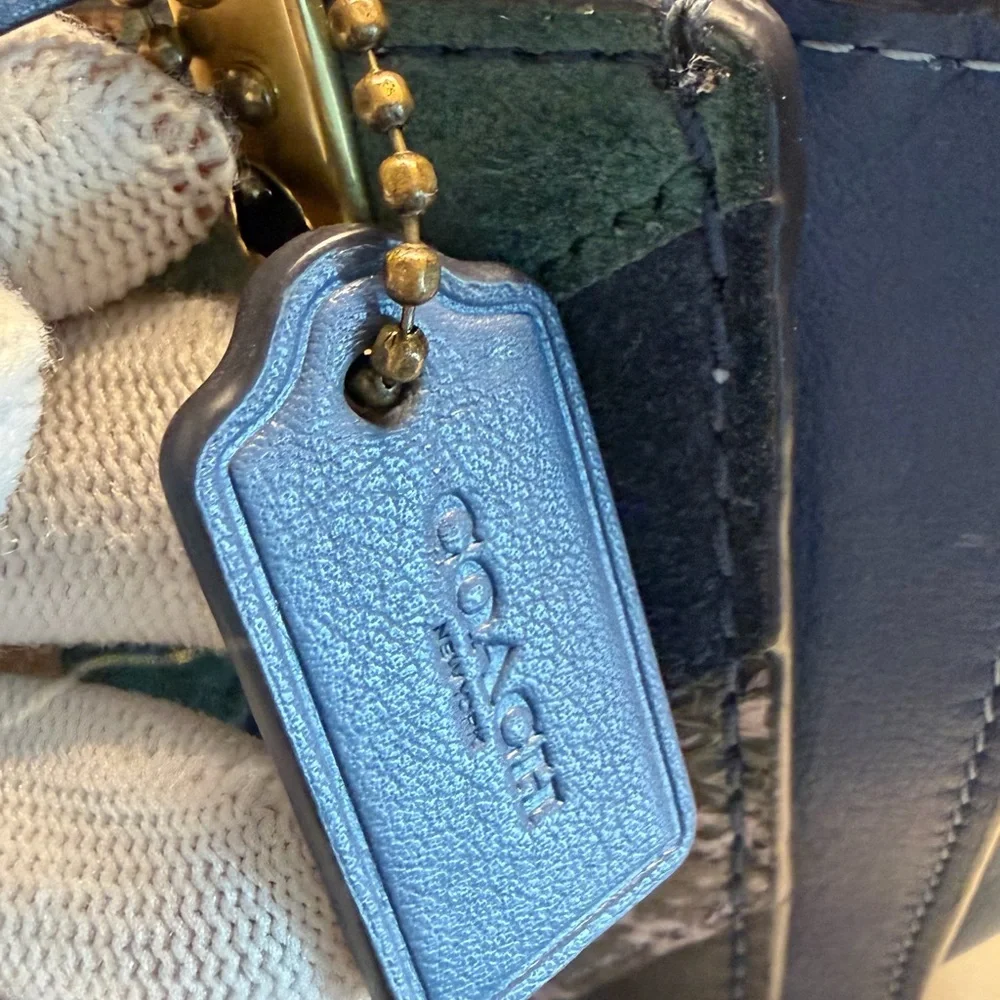 Coach kisslock dreamer 21 snakeskin detail